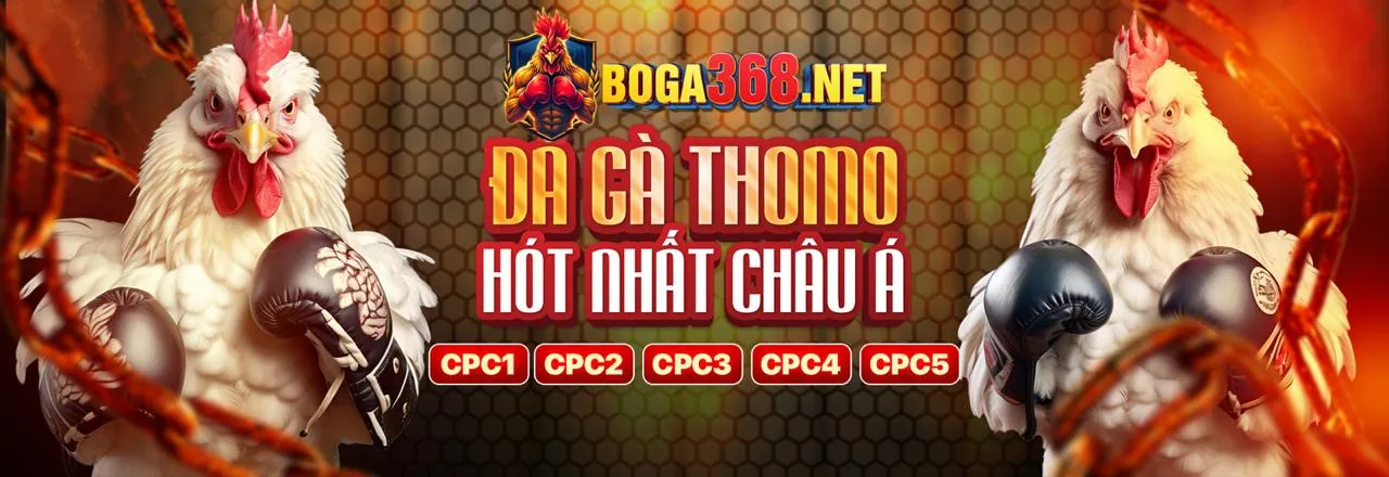 Đội ngũ hỗ trợ khách hàng chuyên nghiệp của zb368 login